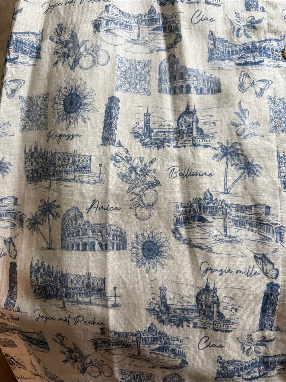 Button-Front Cream and Blue Toile Midi Skirt with Belt - Picture 2 of 5